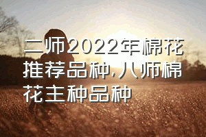 二师2022年棉花推荐品种（八师棉花主种品种）