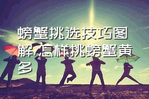 螃蟹挑选技巧图解（怎样挑螃蟹黄多）