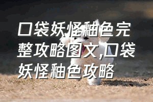 口袋妖怪釉色完整攻略图文（口袋妖怪釉色攻略）