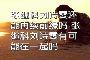 张继科刘诗雯还能再续前缘吗（张继科刘诗雯有可能在一起吗）