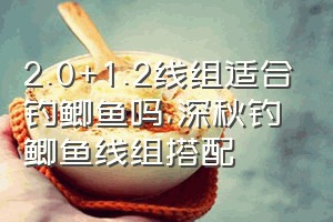 2.0+1.2线组适合钓鲫鱼吗（深秋钓鲫鱼线组搭配）