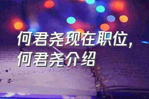 何君尧现在职位（何君尧介绍）