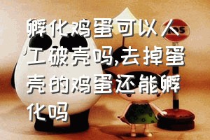 孵化鸡蛋可以人工破壳吗（去掉蛋壳的鸡蛋还能孵化吗）