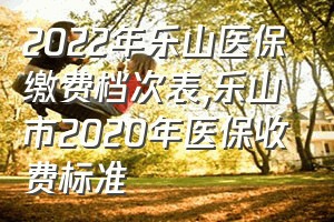 2022年乐山医保缴费档次表（乐山市2020年医保收费标准）