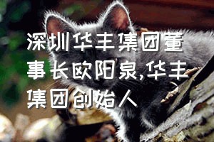 深圳华丰集团董事长欧阳泉（华丰集团创始人）