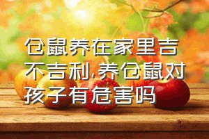 仓鼠养在家里吉不吉利（养仓鼠对孩子有危害吗）