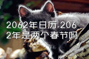 2062年日历（2062年是两个春节吗）