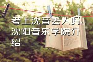 考上沈音丢人吗（沈阳音乐学院介绍）