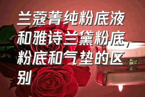 兰蔻菁纯粉底液和雅诗兰黛粉底（粉底和气垫的区别）