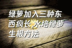 绿萝加入三种东西疯长（水培绿萝生根方法）