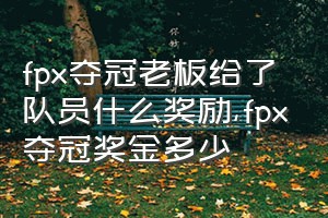 fpx夺冠老板给了队员什么奖励（fpx夺冠奖金多少）