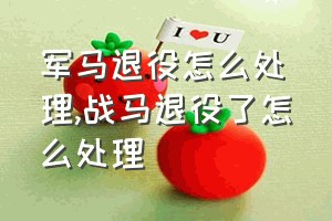 军马退役怎么处理（战马退役了怎么处理）