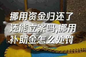 挪用资金归还了还能立案吗（挪用补助金怎么处罚）