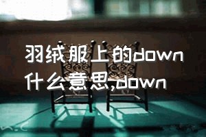 羽绒服上的down什么意思（down）