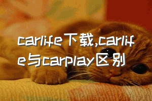 carlife下载（carlife与carplay区别）