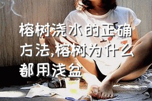 榕树浇水的正确方法（榕树为什么都用浅盆）