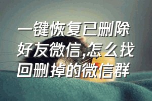 一键恢复已删除好友微信（怎么找回删掉的微信群）