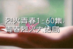 烈火青春1-60集（青春烈火大结局）