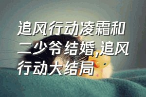 追风行动凌霜和二少爷结婚（追风行动大结局）