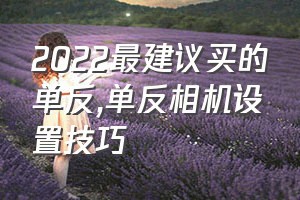 2022最建议买的单反（单反相机设置技巧）