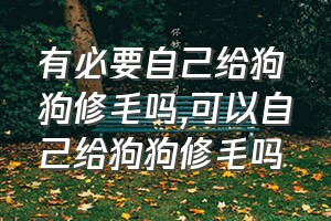 有必要自己给狗狗修毛吗（可以自己给狗狗修毛吗）