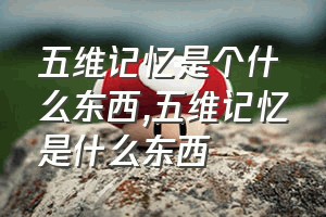 五维记忆是个什么东西（五维记忆是什么东西）