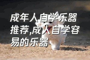 成年人自学乐器推荐（成人自学容易的乐器）