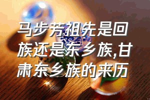 马步芳祖先是回族还是东乡族（甘肃东乡族的来历）