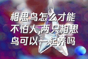 相思鸟怎么才能不怕人（两只相思鸟可以一起养吗）