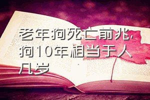 老年狗死亡前兆（狗10年相当于人几岁）