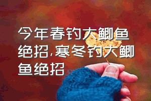 今年春钓大鲫鱼绝招（寒冬钓大鲫鱼绝招）