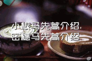 小根马先蒿介绍（密穗马先蒿介绍）