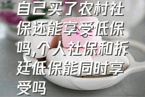 自己买了农村社保还能享受低保吗（个人社保和拆廷低保能同时享受吗）