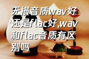 无损音质wav好还是flac好（wav和flac音质有区别吗）