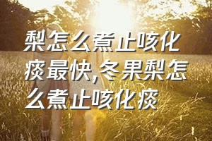 梨怎么煮止咳化痰最快（冬果梨怎么煮止咳化痰）