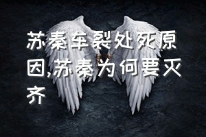 苏秦车裂处死原因（苏秦为何要灭齐）