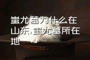 蚩尤墓为什么在山东（蚩尤墓所在地）