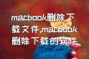 macbook删除下载文件（macbook删除下载的软件）