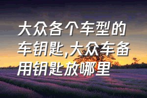 大众各个车型的车钥匙（大众车备用钥匙放哪里）