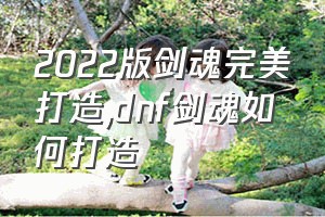 2022版剑魂完美打造（dnf剑魂如何打造）