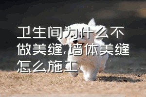 卫生间为什么不做美缝（墙体美缝怎么施工）