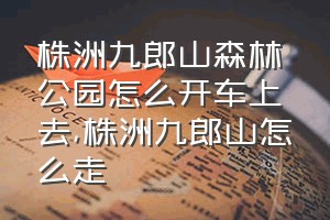 株洲九郎山森林公园怎么开车上去（株洲九郎山怎么走）