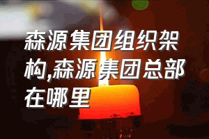 森源集团组织架构（森源集团总部在哪里）