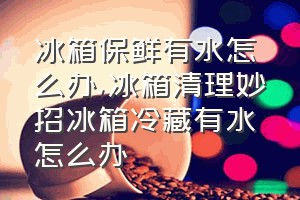 冰箱保鲜有水怎么办（冰箱清理妙招冰箱冷藏有水怎么办）