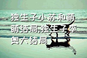 独生子小苏和萌萌结局（独生子李奥大结局）