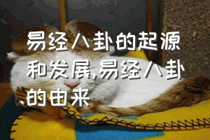 易经八卦的起源和发展（易经八卦的由来）