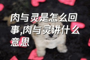 肉与灵是怎么回事（肉与灵讲什么意思）