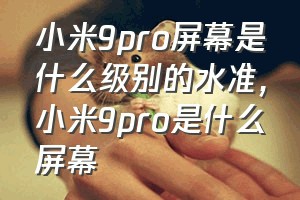 小米9pro屏幕是什么级别的水准（小米9pro是什么屏幕）