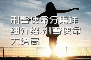 刑警使命分集详细介绍（刑警使命大结局）