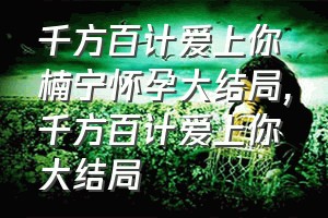 千方百计爱上你楠宁怀孕大结局（千方百计爱上你大结局）